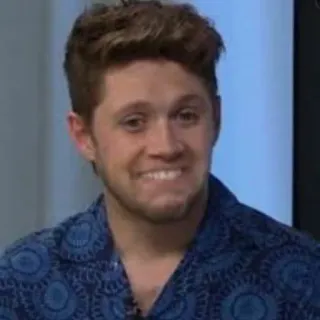 🤓 Niall Horan celebrity, singer, Niall Horan, portrait, man, musician telegram sticker