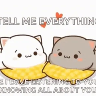 🎈 TELL ME EVERYTHING
EI LOVE LISTENING TO YOU
KNOWING ALL ABOUT YOU katten, liefde, luisteren, schattig, relatie whatsapp sticker