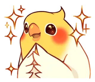 😎 cockatiel, oiseau, paillettes, mignon, animal, dessin animé, emoji whatsapp sticker