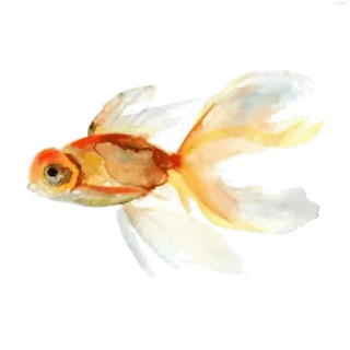 @wisdom_droplets A Animals — @stckrRobot telegram stickers