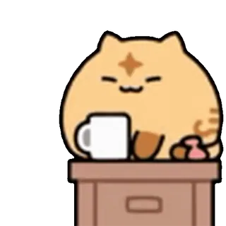 🐱
