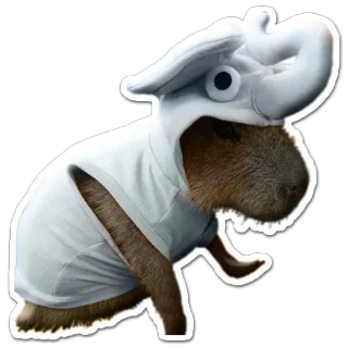 🐘 Kapibara, Zwierzę, Szef kuchni, Uroczy, Ssak, Gryzoń, Kostium telegram sticker