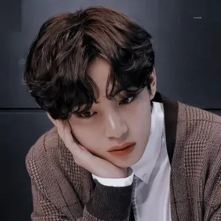 🤎 V kpop, piosenkarz, idol, portret, v, bts whatsapp sticker