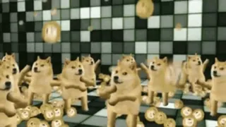🌐 Doge Doge, Meme, Meme Internet, Chien, Danse whatsapp sticker