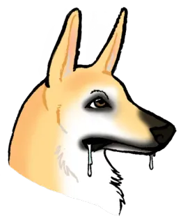 🙄 anjing, binatang, hewan peliharaan, air liur, anjing telegram sticker
