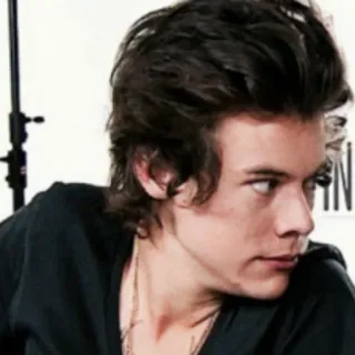 🌿 Harry Styles célébrité, chanteur, one direction, harry styles telegram sticker