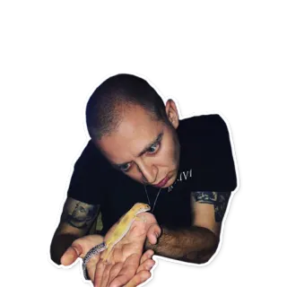 🦎 homem, lagarto, animal de estimação, réptil, animal, careca telegram sticker