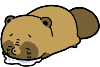 😭 タヌキ, 泣く, 悲しい, 動物, かわいい, 可愛い telegram sticker