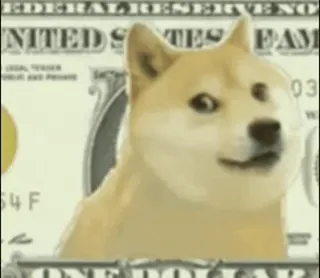 💵 Doge Doge, pies, mem, waluta, pieniądze, dolar telegram sticker