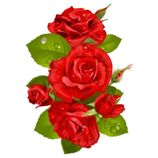 🌚 flower, rose, floral, red, plant, nature, garden, bouquet telegram sticker
