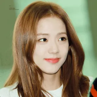 🦄 Jisoo kpop, айдол, певец, знаменитость, женщина, портрет whatsapp sticker