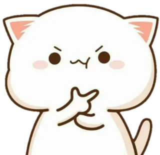 🧐 gato, dedo corazón, ofensivo, lindo telegram sticker