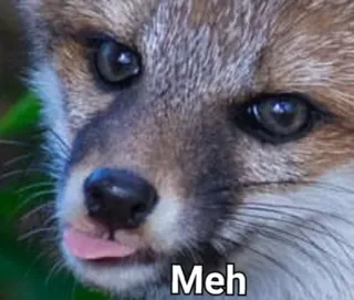 😑 Meh raposa, animal, meh, fofo, meme telegram sticker