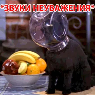 😒 *ЗВУКИ НЕУВАЖЕНИЯ* 猫, 瓶, フルーツ, 面白い, 不遜 telegram sticker