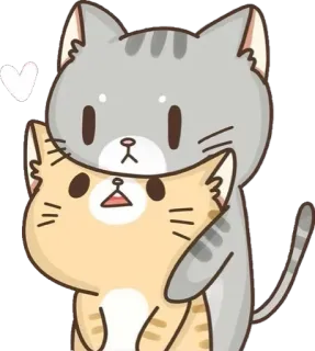 🐱 cat, cats, kitten, kittens, animal, animals, cute, love telegram sticker