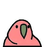 🦜 vogel, papegaai, schattig, dier, huisdier, sticker telegram sticker