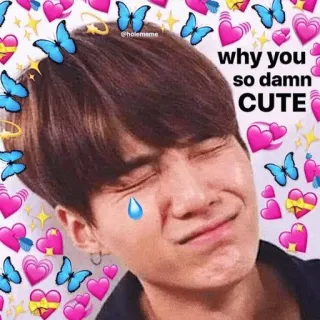 😀 why you so damn CUTE かわいい, KPOP, 愛, ミーム, 美的, イケメン telegram sticker