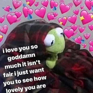 ❤️ Kermit i love you so
goddamn
much it isn't
fair i just want
you to see how
lovely you are kermit, amour, coeurs, putain, adorable telegram sticker