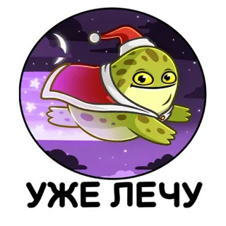 🚀 УЖЕ ЛЕЧУ черепаха, летающий, ночь, звезды, шапка Санты, рождество, мультяшный, милый whatsapp sticker