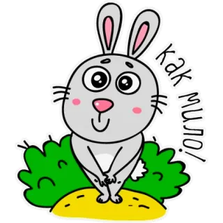 🐰 как мило! królik, słodki, rosyjski, kreskówka, zwierzęta telegram sticker