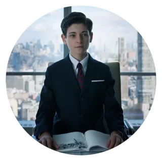😐 Bruce Wayne Gotham Gotham, Bruce Wayne, DC Comics, Serie TV, Personaggio, Giovane Bruce Wayne telegram sticker