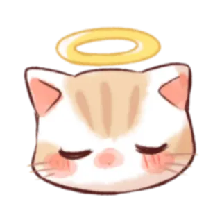 😌 кот, котенок, ангел, ореол, милый, каваий whatsapp sticker