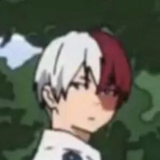 ❄️ Shoto Todoroki My Hero Academia Anime, Shoto Todoroki, My Hero Academia telegram sticker