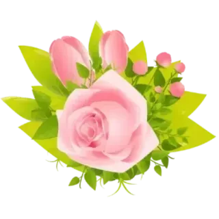 😊 Blume, Rose, Rosa, Blumenmuster, Strauß, Blätter, Pflanze, Blüte whatsapp sticker
