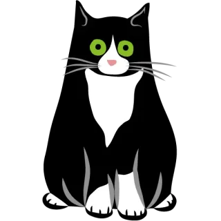 👀 Katze, Tuxedo Katze, Tier, Haustier, Haustier, Katzenartig, Säugetier telegram sticker