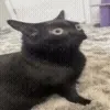 😵