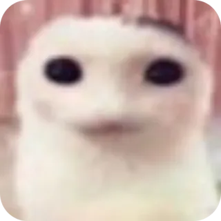 🤲 créature, blob, blanc, mème, drôle, mignon telegram sticker