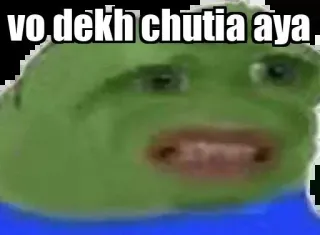😂 vo dekh chutiya aya pepe, kikker, meme, aanstootgevend whatsapp sticker