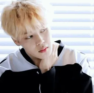 🍃 Jimin K-pop, penyanyi, Jimin, BTS, idola, mode whatsapp sticker