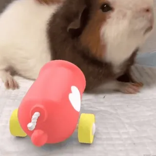 ❤️ guinea pig, toy, animal, cute, rodent telegram sticker