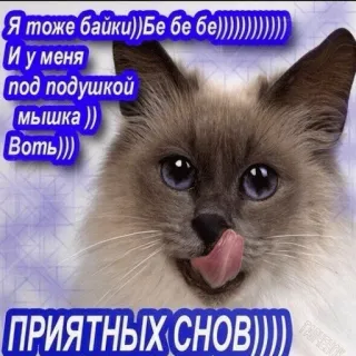 💤 Я тоже байки)) Бе бе бе))))))))))))
И у меня
под подушкой
(мышка ))
Воть)))
ПРИЯТНЫХ СНОВ)))) cat, russian, good night, cute, sticker, meme telegram sticker