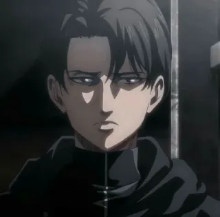 ⚔ Levi Ackerman Attack on Titan Anime, Personagem, Mangá, Soldado, Sério whatsapp sticker