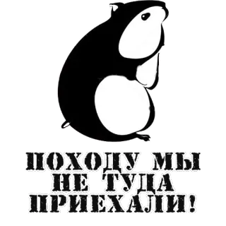 🐹 ПОХОДУМЫ НЕ ТУДА ПРИЕХАЛИ! hamster, animal, text, russian, sticker telegram sticker