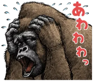 😫 あわわっ горилла, в стрессе, взволнованный, животное, пот, расстроенный whatsapp sticker