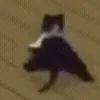 💃
