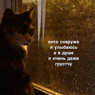 🎭 енто снаружи я улыбаюсь 
а в душе я очень дажи грустчу แมว, ฝน, เศร้า, หน้าต่าง, กลางคืน, รัสเซีย telegram sticker