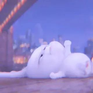 🐰 whatsapp sticker