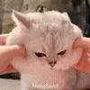 😒