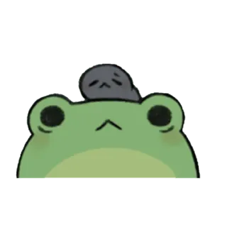 😀 개구리, 귀여운, 동물, 초록 telegram sticker