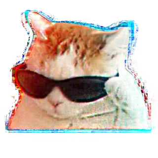 😎 cat, sunglasses, cool, animal, pet, meme telegram sticker