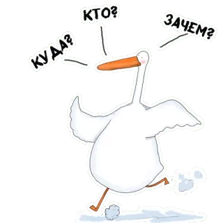 🗣 КТО? ЗАЧЕМ? КУДА? 거위, 질문, 러시아어, 만화, 새 telegram sticker