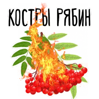 🔥 КОСТРЫ РЯБИН sorveira, fogo, outono, natureza, bagas, planta, russo telegram sticker
