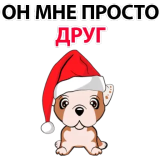 🙁 ОН МНЕ ПРОСТО ДРУГ dog, friend, santa hat, cute, animal, russian telegram sticker