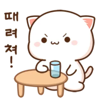 😡 때려 쳐! Katze, wütend, koreanisch, Tisch, Glas, Cartoon telegram sticker
