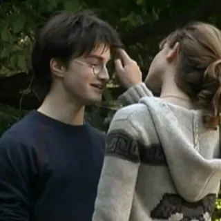 💋 Harry Potter гарри поттер, гермиона грейнджер, дружба, фильм, книги telegram sticker