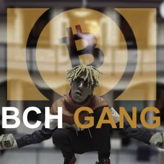 🇨🇭 BCH GANG BCH, gang, money, cryptocurrency, bitcoin cash telegram sticker